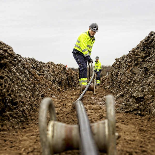 Electricity network ownership and management solutions