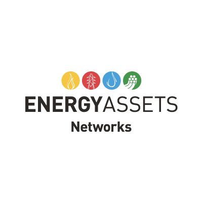 Multi-utility network ownership solutions