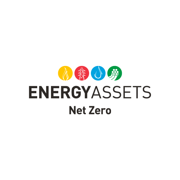 Introducing EA Net Zero…